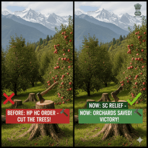 Supreme Court ने रोका Himachal के 'सेब के पेड़ों की कटाई' का आदेश