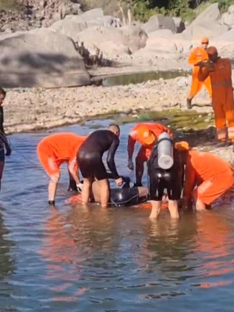 Himachal Pradesh 16-year-old Chandigarh boy drowns in Baddi stream - HimachalGovt