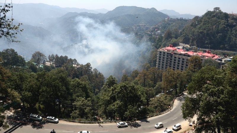 Himachal Pradesh Forest fire sparks panic in Shimla - HimachalGovt