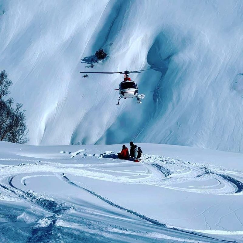 Himachal Pradesh Kangra eyes heli-skiing hub in Dhauladhars - HimachalGovt
