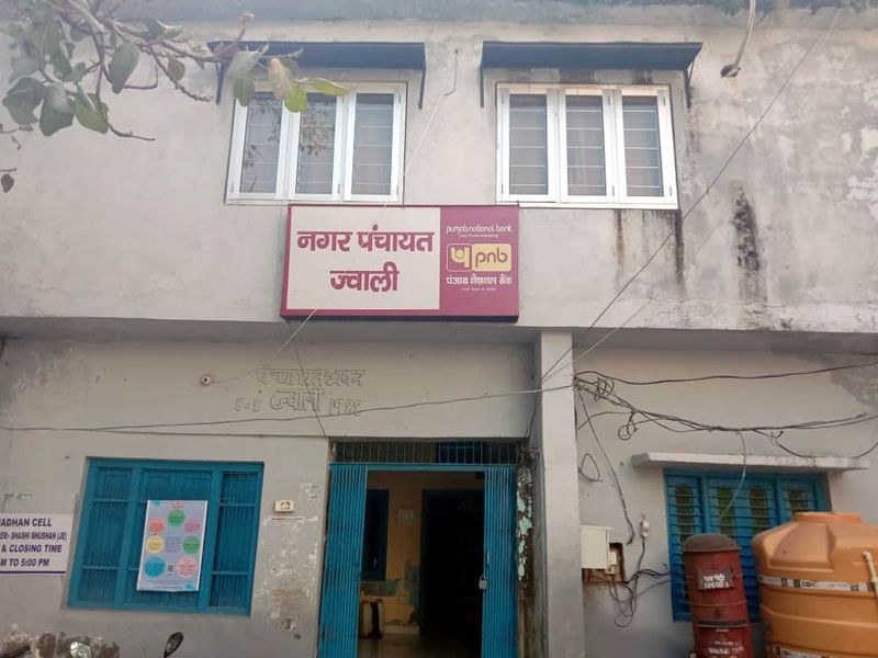 Himachal Pradesh No election to three new civic bodies of Jawali; government depriving residents of right to vote: BJP - HimachalGovt