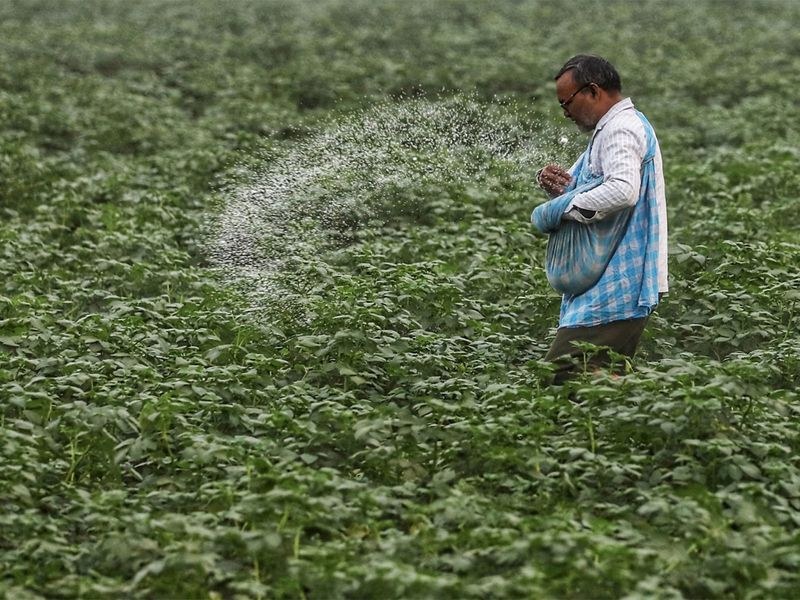 Himachal Pradesh Potato research institute teams to educate farmers about balanced use of fertilisers - HimachalGovt