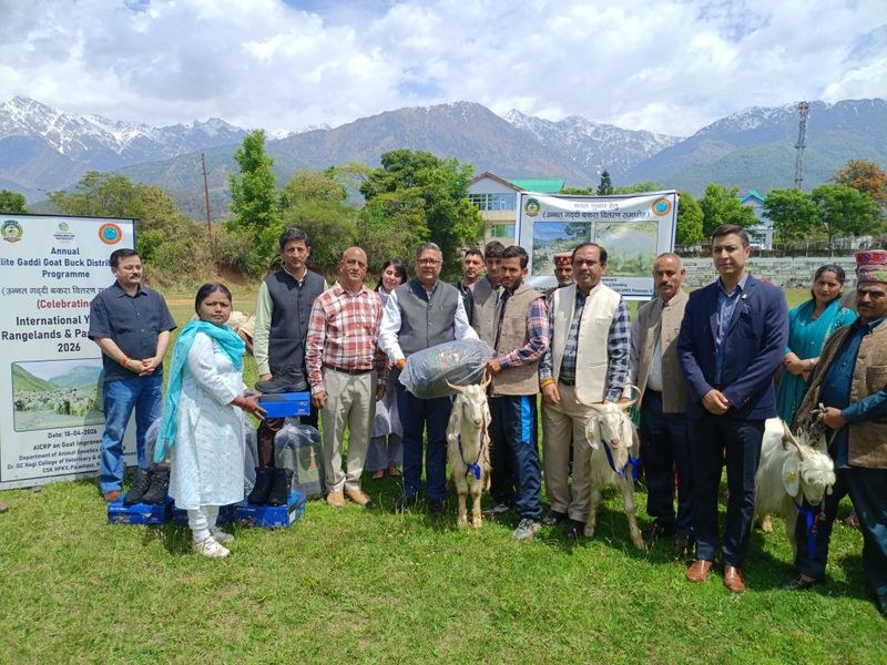 Himachal Pradesh Protecting interests of livestock farmers govt’s priority: Butail - HimachalGovt