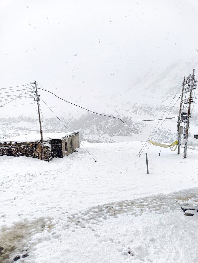 Himachal Pradesh Roads blocked, farming hit as Pangi battles unseasonal snow - HimachalGovt