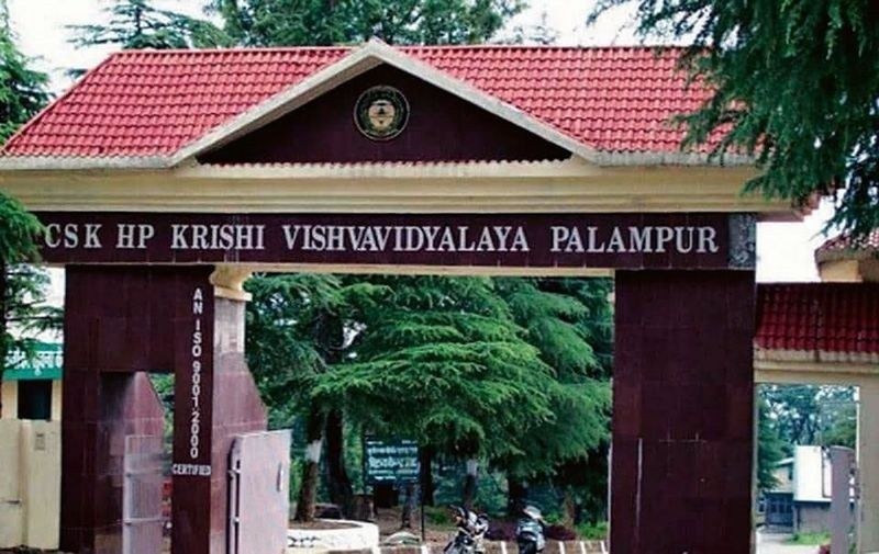 Himachal Pradesh SC won’t intervene in agri varsity land row, asks Himachal govt to move HC - HimachalGovt