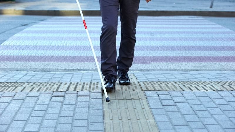 Himachal Pradesh Visually impaired persons protest in Shimla; give 1-week ultimatum to govt to fulfil their demands - HimachalGovt