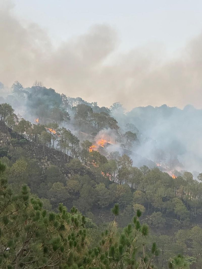 Himachal Pradesh 2 IAF helicopters pressed into service to douse forest fire in Kasauli - HimachalGovt