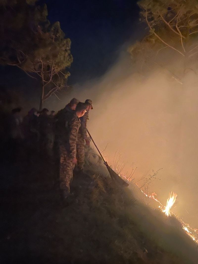 Himachal Pradesh Army, IAF battle Kasauli inferno - HimachalGovt