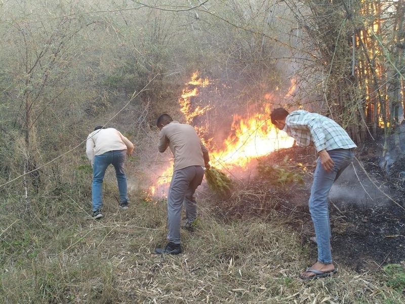 Himachal Pradesh Forest fires rage across Kasauli hills - HimachalGovt