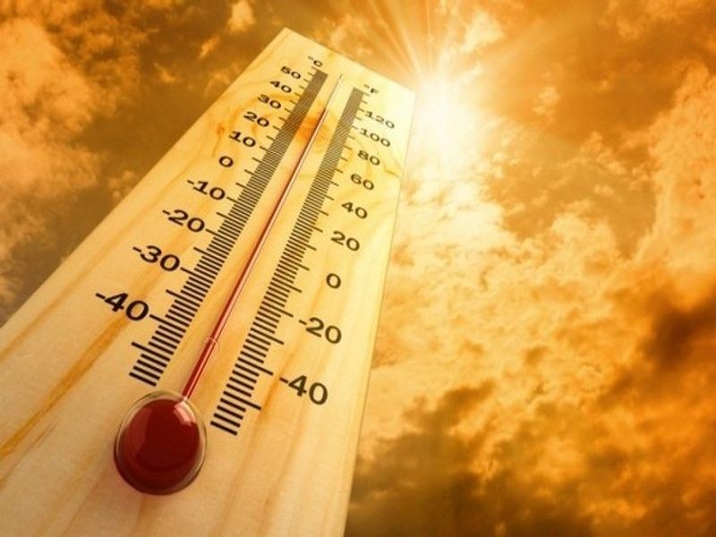 Himachal Pradesh Heatwave alert for eight districts in Himachal today - HimachalGovt
