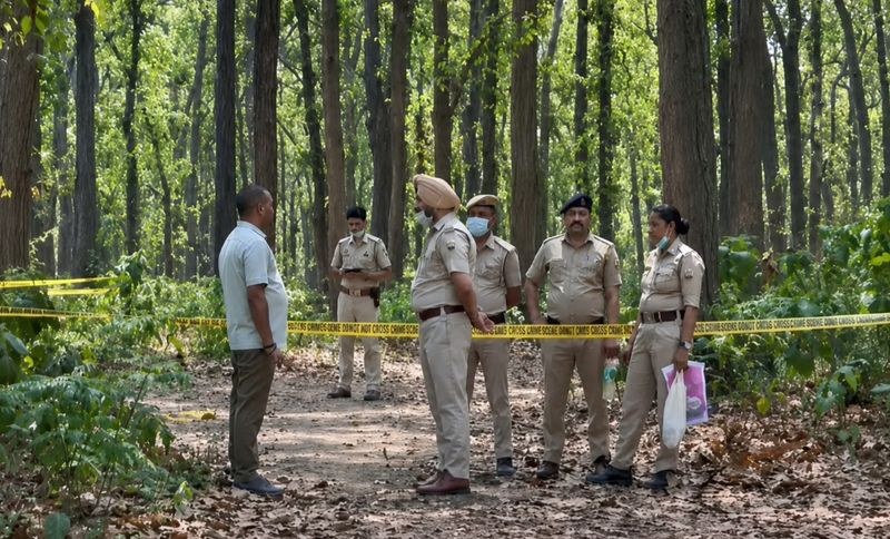 Himachal Pradesh Love, poison and fire: Mystery of half-burnt woman shocks calm Himachals Sirmaur - HimachalGovt