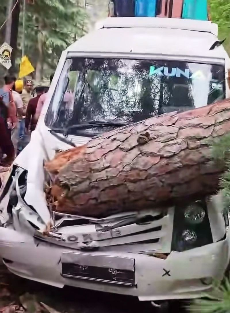 Himachal Pradesh Tourists narrowly escape after massive tree crashes onto vehicle in Kullu - HimachalGovt