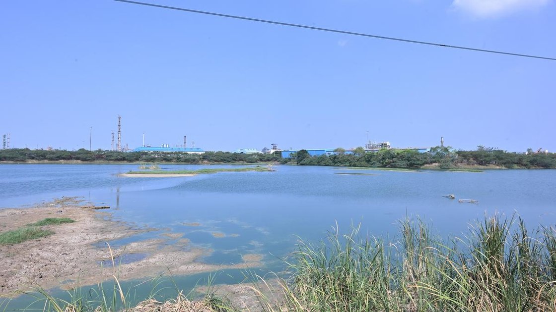 Sathangadu Lake in Tiruvallur district with encroachments visible