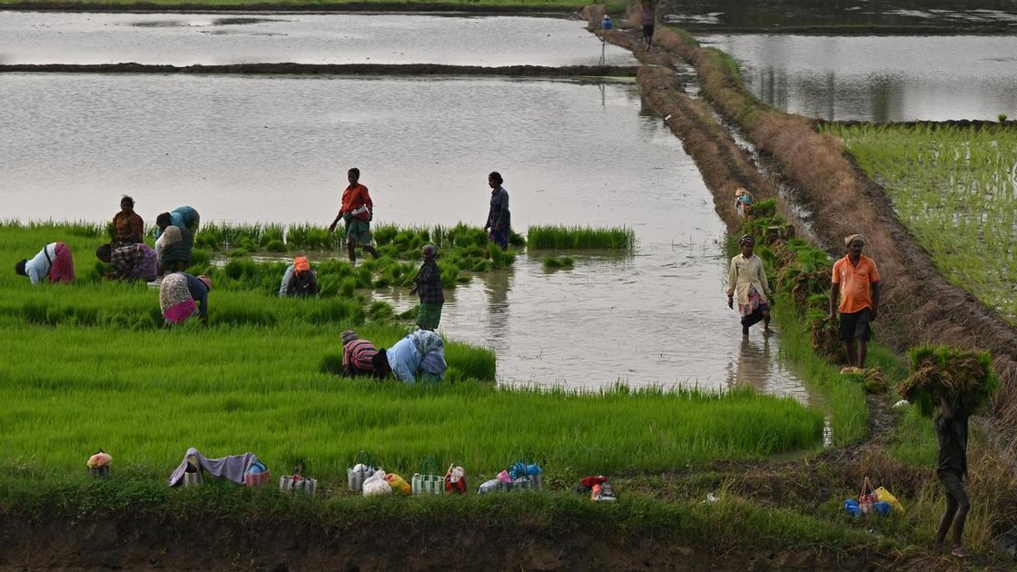 Tamil Nadu Chief Minister C. Joseph Vijay announcing revised crop loan waiver scheme for farmers