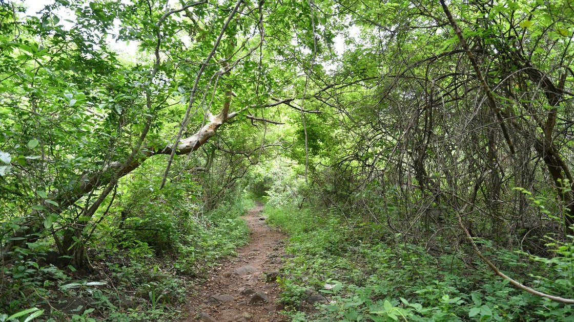 Kondapalli Reserve Forest view in Vijayawada, Andhra Pradesh