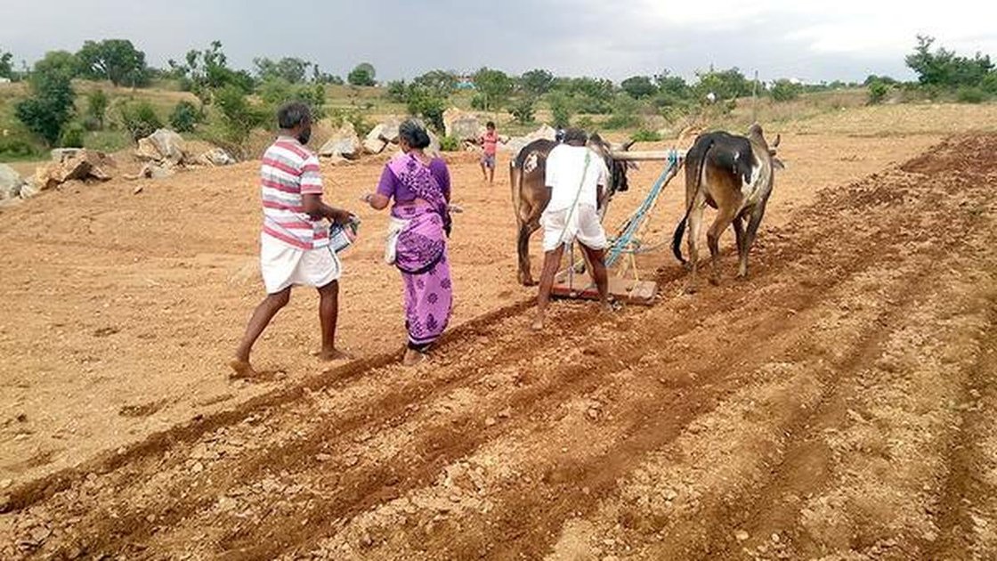 यादगीर जिले में किसान खेतों में बुवाई करते हुए
