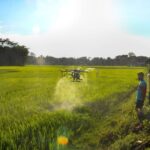 Himachal Pradesh Himachal’s pesticide trap: Experts warn of mounting health & ecological crisis - HimachalGovt