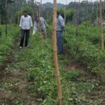 Himachal Pradesh Scientific farming can increase yield: Expert - HimachalGovt