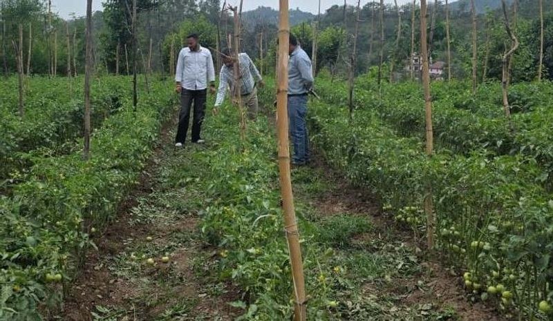 Himachal Pradesh Scientific farming can increase yield: Expert - HimachalGovt