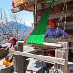 Himachal Pradesh States Women Commission to strengthen Women Commission Act as per modern requirements - HimachalGovt