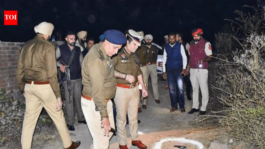 पंजाब के वरिष्ठ पत्रकार नवजीवन गोपाल